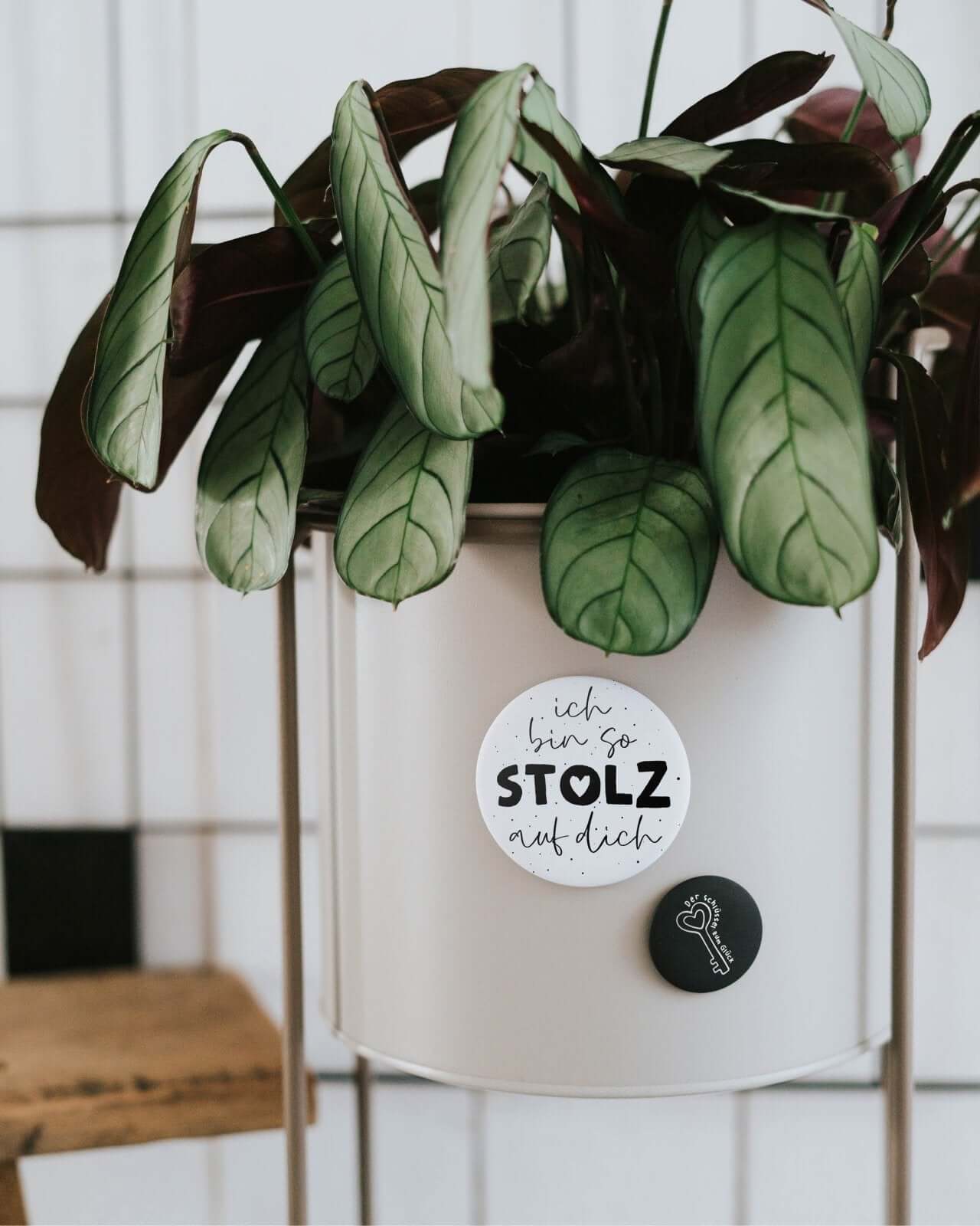 Magnete mit Spruch oder Motiv Stolz auf dich · groß in schwarz weiss