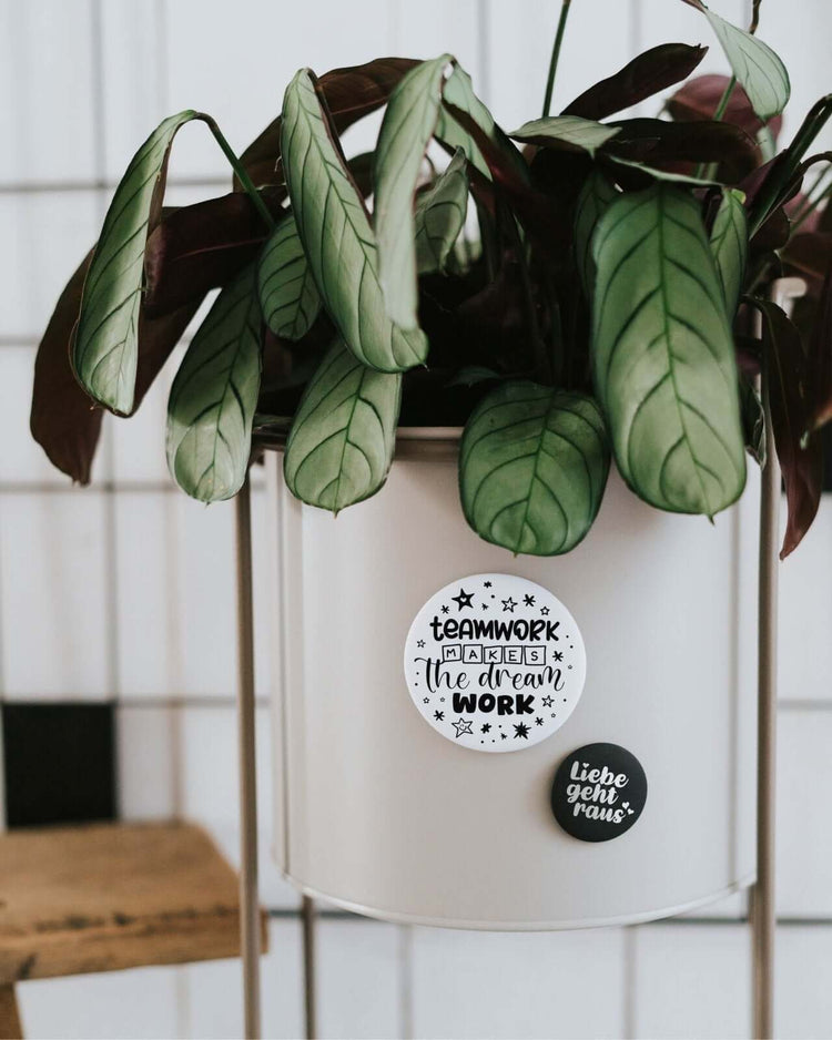 Magnete mit Spruch oder Motiv Teamwork Dreamwork · groß in schwarz weiss