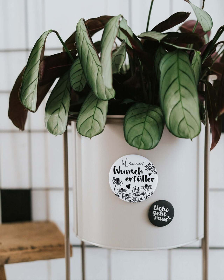 Magnete mit Spruch oder Motiv Wunscherfüller · groß in schwarz weiss