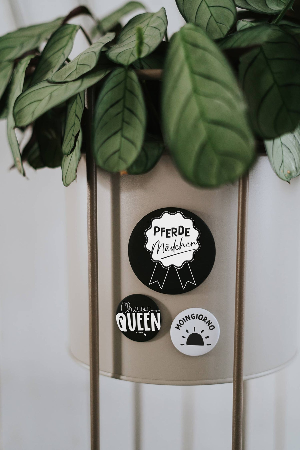 Magnet Moingiorno – Kühlschrankmagnet mit fröhlichem Morgenspruch als Geschenk