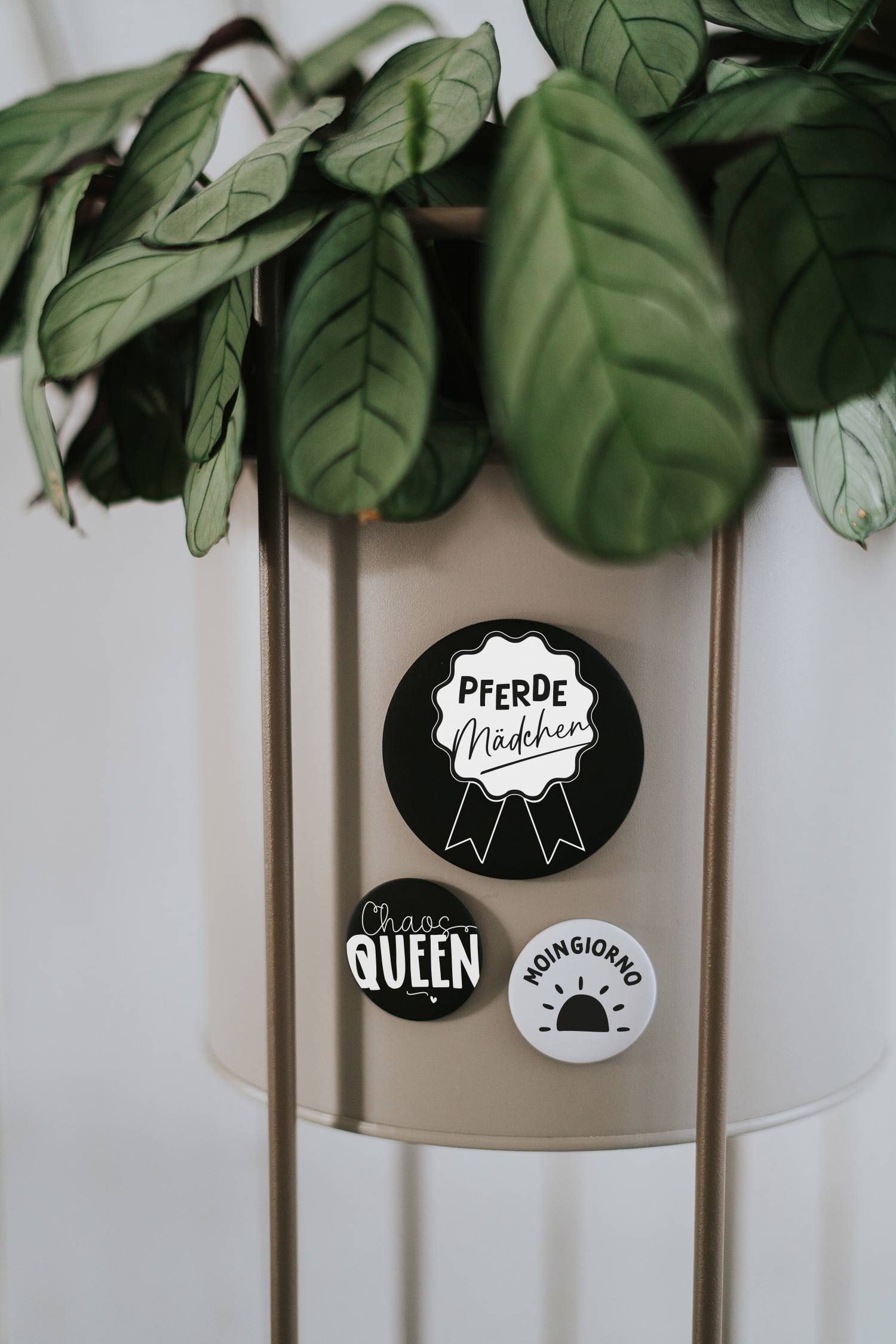 Magnet Moingiorno – Kühlschrankmagnet mit fröhlichem Morgenspruch als Geschenk