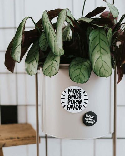 Magnete mit Spruch oder Motiv More amor · groß in schwarz weiss