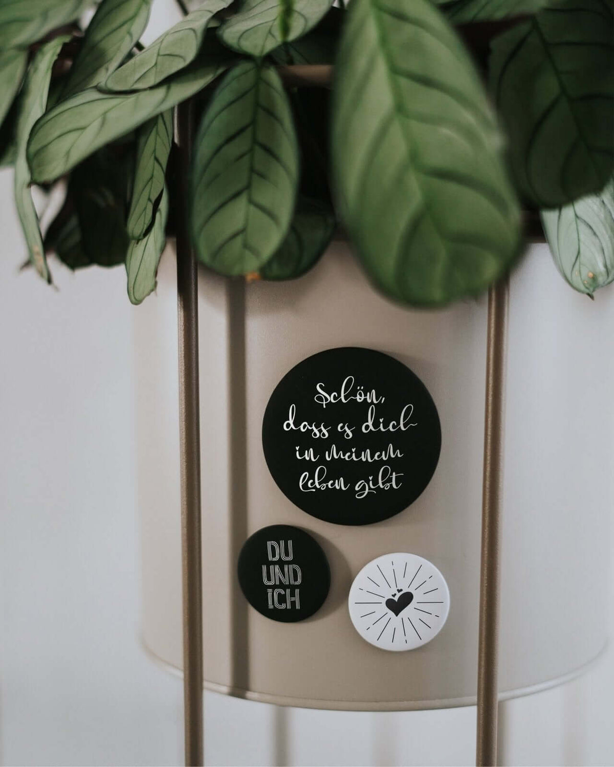 Magnete mit Spruch oder Motiv Schön, dass es dich gibt · groß in schwarz weiss