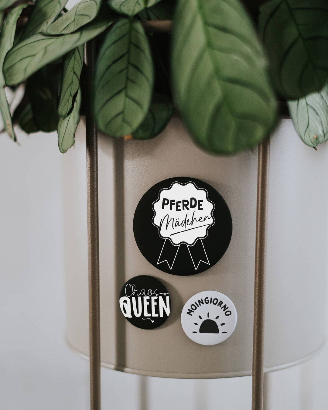 Magnet Pferde Mädchen – großer Kühlschrankmagnet für Pferdefans als Geschenk