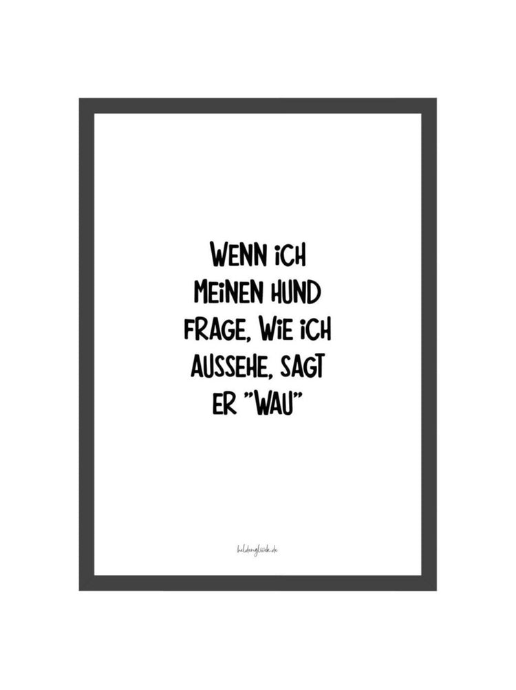 Mein Hund  Heldenglück   