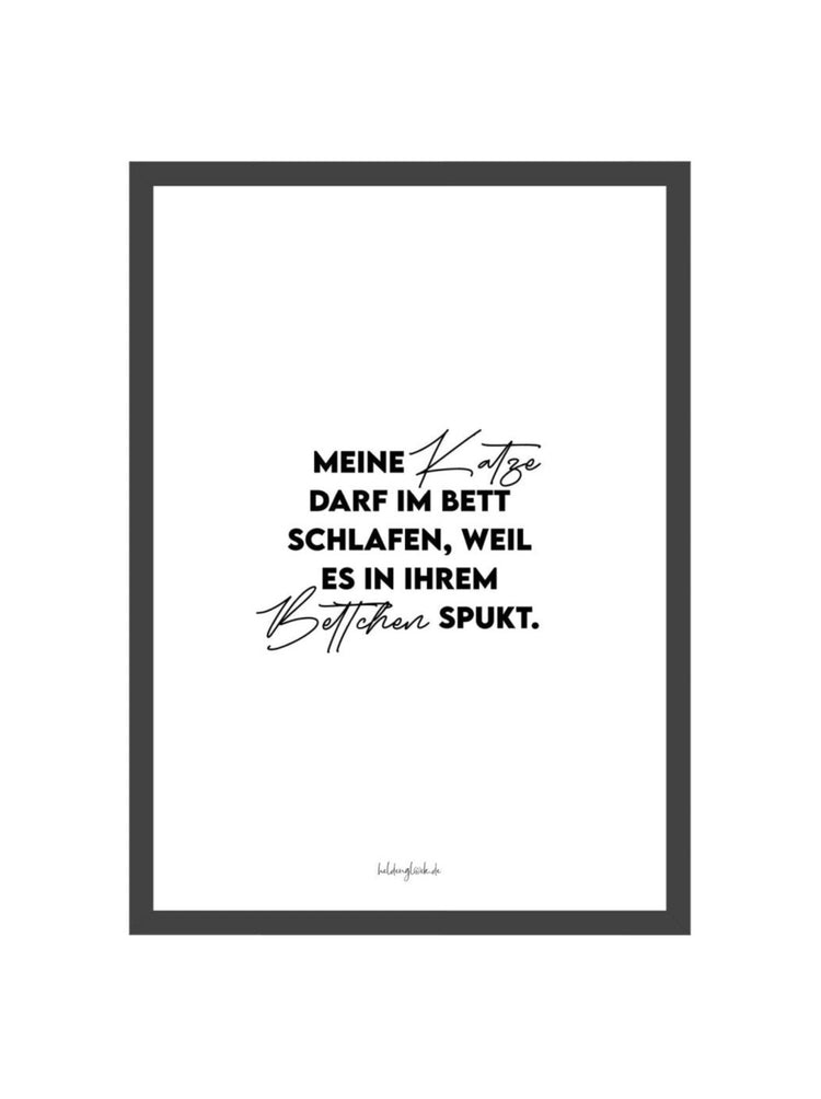 Meine Katze  Heldenglück   